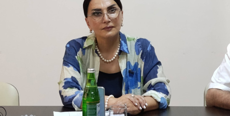 Azərbaycan Respublikası Milli Məclisinin deputatı Jalə Əliyeva Zərdab rayonunda növbəti vətəndaş qəbulu və seçicilərlə görüş keçirib